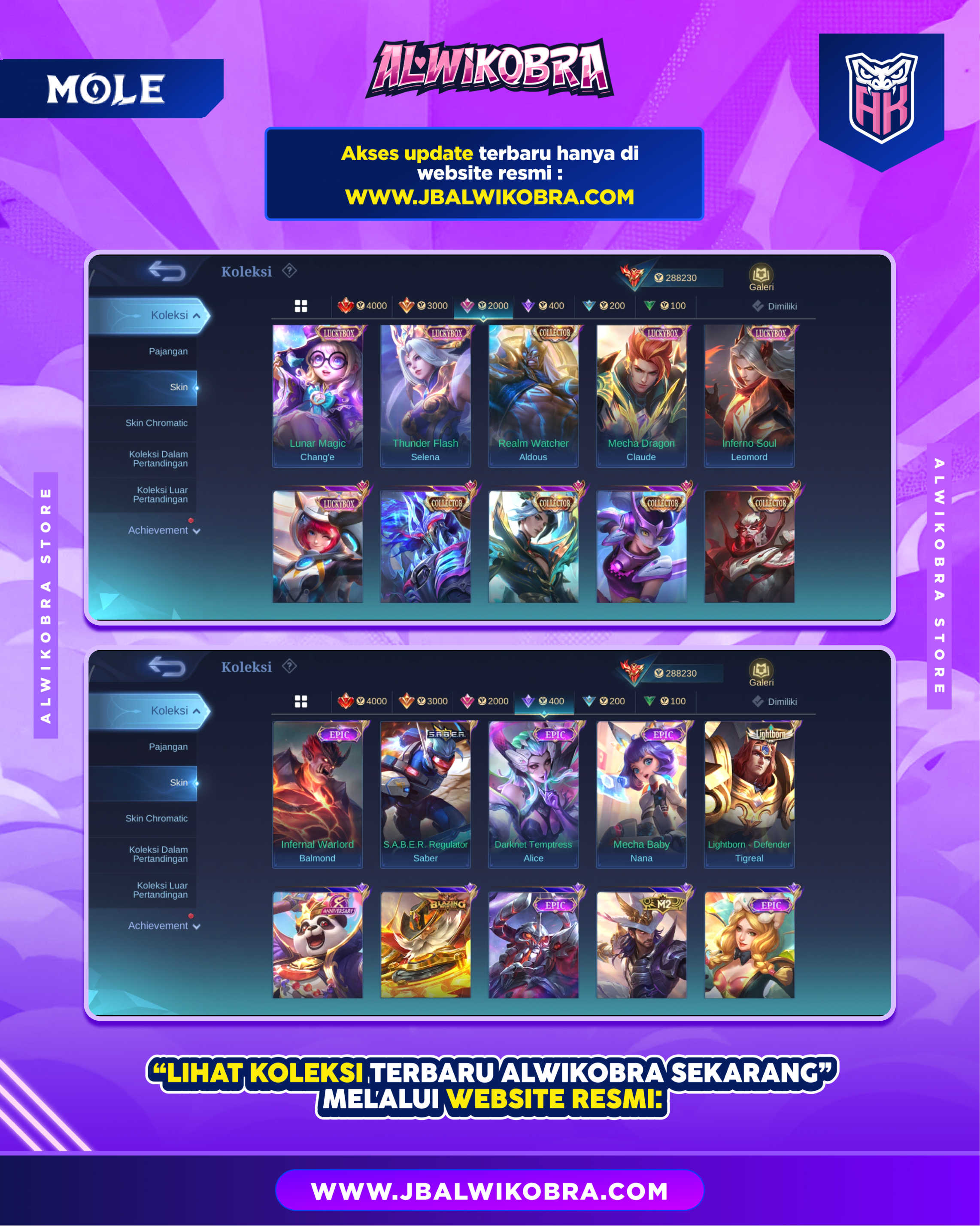 MLBB R205 7