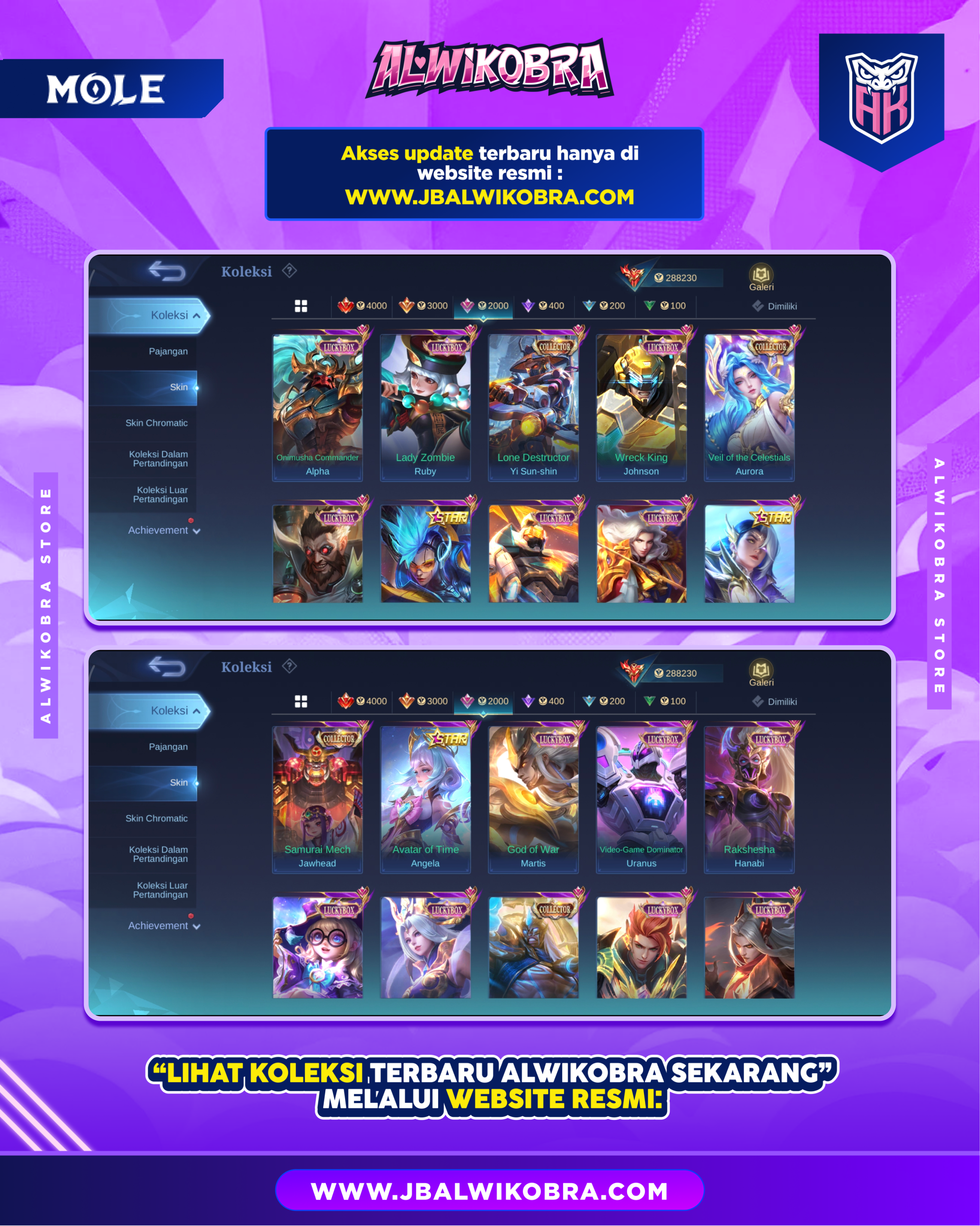 MLBB R205 6