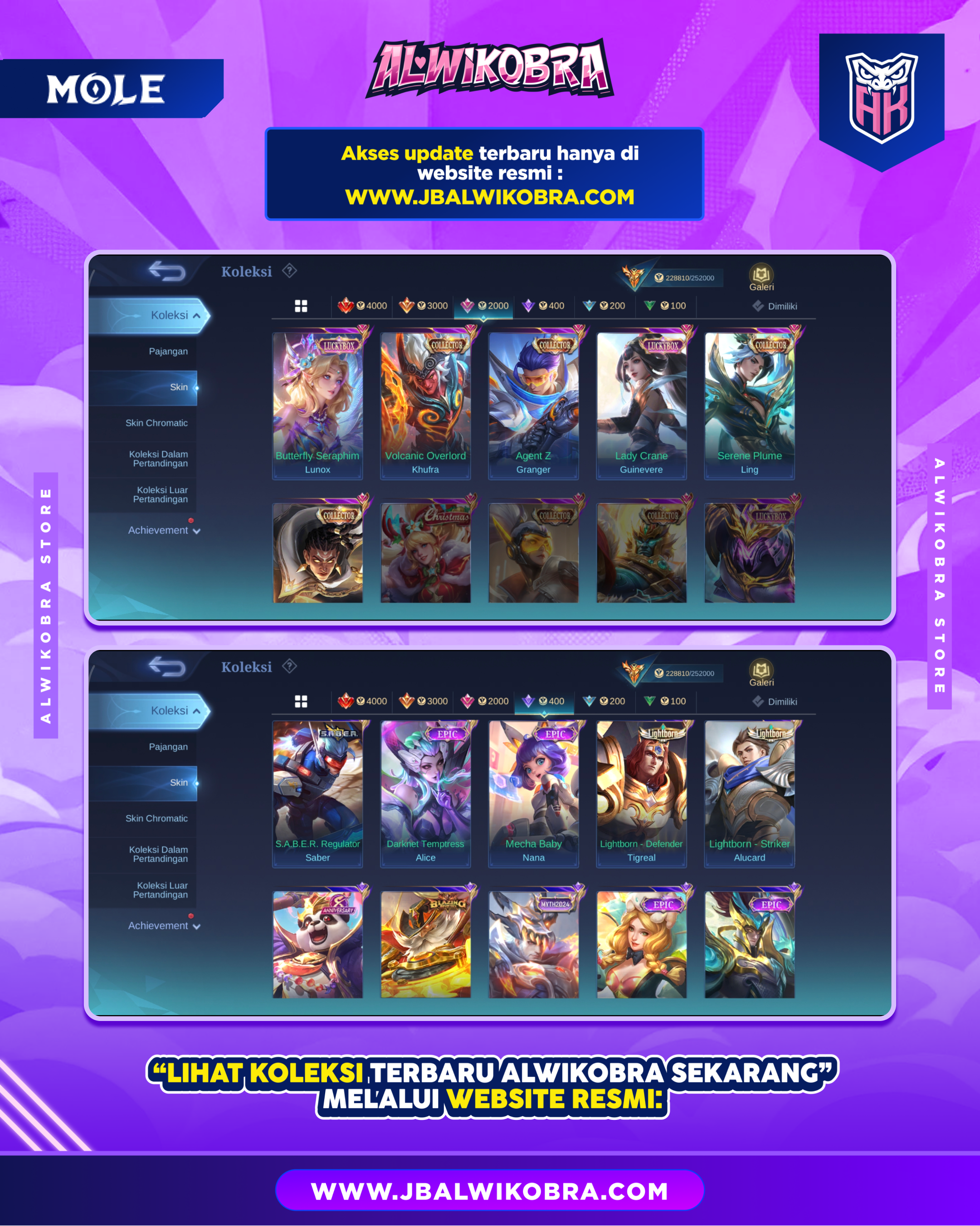 MLBB R210 6