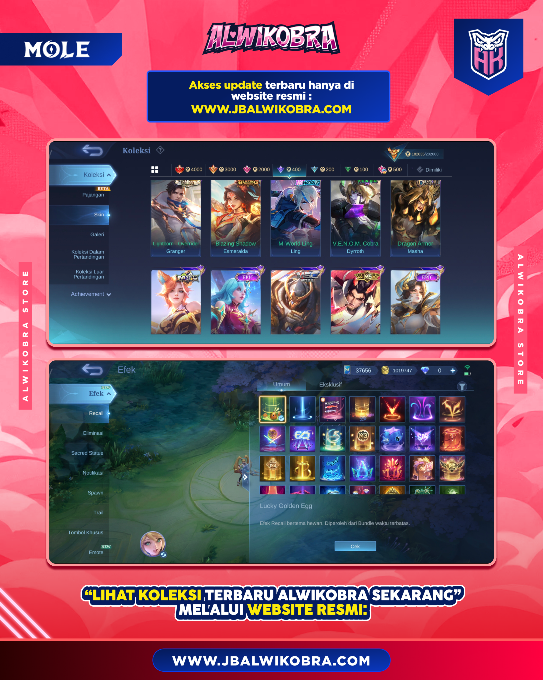 MLBB R206 8